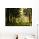Morning Spring Forest Wall Decal