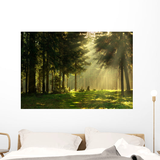Morning Spring Forest Wall Decal