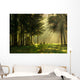 Morning Spring Forest Wall Decal