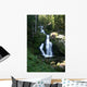 Triberg Waterfalls Wall Decal