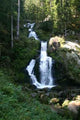 Triberg Waterfalls Wall Decal