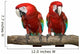 Two Red Macaws Wall Decal