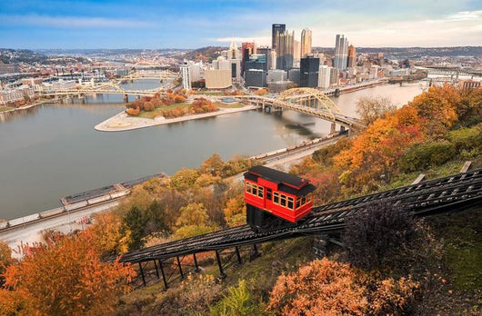 Pitt Skyline Wall Decal