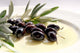 Olives and Olive Oil Wall Decal
