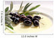 Olives and Olive Oil Wall Decal