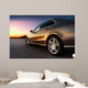 Rear-side Car Wall Decal