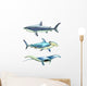 Sea Creatures Wall Stickers Wall Decal