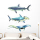 Sea Creatures Wall Stickers Wall Decal