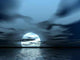 Moon Landscape Wall Decal