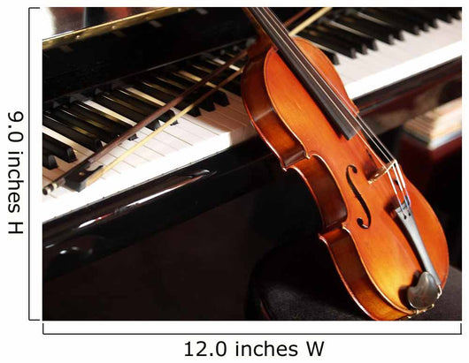 Violin and Piano Wall Decal