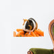 Guinea-pig and Carrots Wall Decal