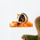 Guinea-pig and Carrots Wall Decal