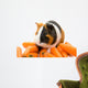 Guinea-pig and Carrots Wall Decal
