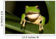 Tree Frog Wall Decal Design 2