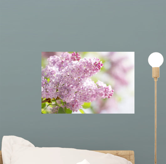 Pink Dreams Wall Decal