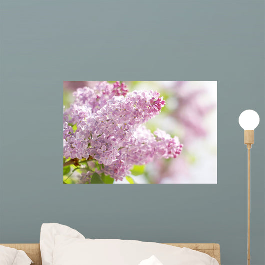 Pink Dreams Wall Decal