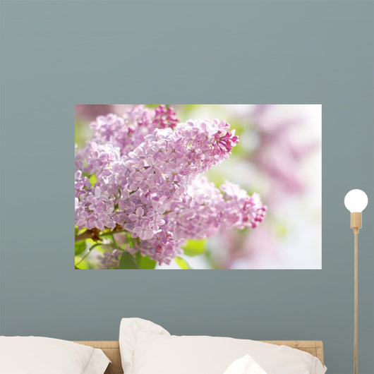 Pink Dreams Wall Decal