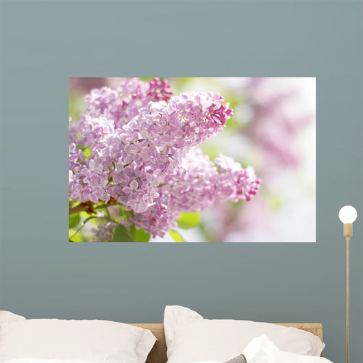 Pink Dreams Wall Decal