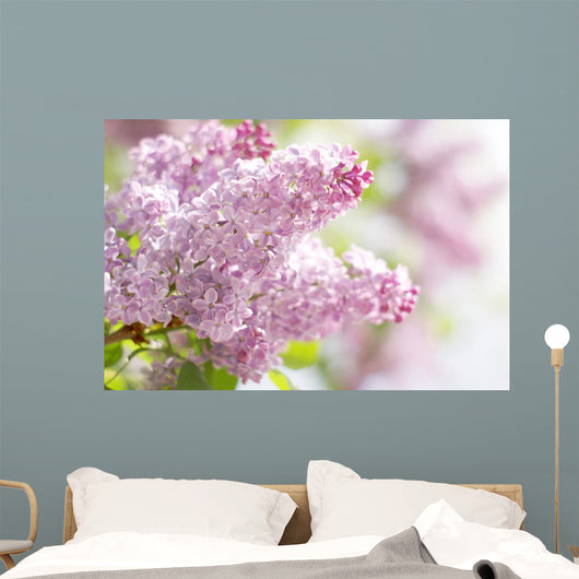 Pink Dreams Wall Decal