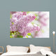Pink Dreams Wall Decal