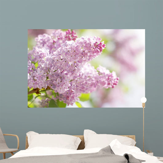 Pink Dreams Wall Decal