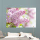 Pink Dreams Wall Decal