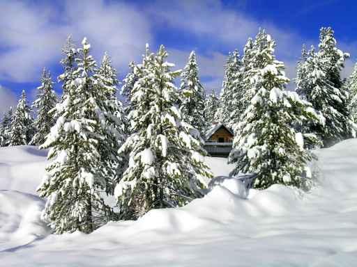 Cabin Winter Wall Decal