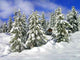 Cabin Winter Wall Decal