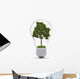 Environment Conservation Wall Decal