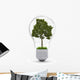 Environment Conservation Wall Decal
