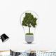 Environment Conservation Wall Decal