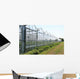 Greenhouses Wall Decal