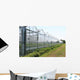 Greenhouses Wall Decal