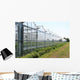 Greenhouses Wall Decal