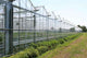 Greenhouses Wall Decal