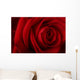 Beautiful Romantic Red Rose Wall Decal
