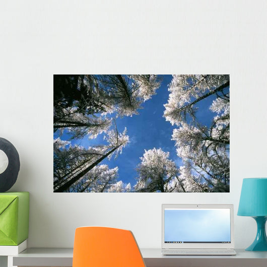 Sky and Forest Wall Decal