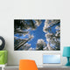 Sky and Forest Wall Decal
