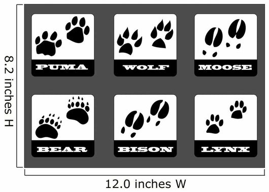 Animal Tracks Wall Decal