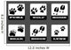 Animal Tracks Wall Decal