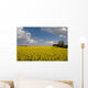 Oil Seed Rape Field Wall Decal