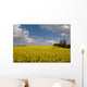 Oil Seed Rape Field Wall Decal