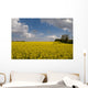 Oil Seed Rape Field Wall Decal