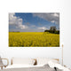 Oil Seed Rape Field Wall Decal
