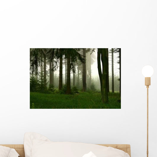 Forest and Fog Wall Decal