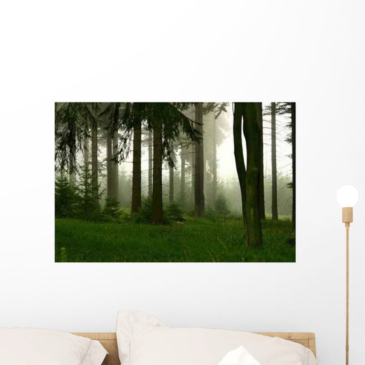 Forest and Fog Wall Decal