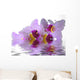 Water and Orchid Wall Decal