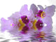 Water and Orchid Wall Decal
