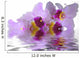 Water and Orchid Wall Decal
