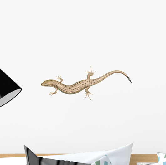 Skink Lizard Wall Decal